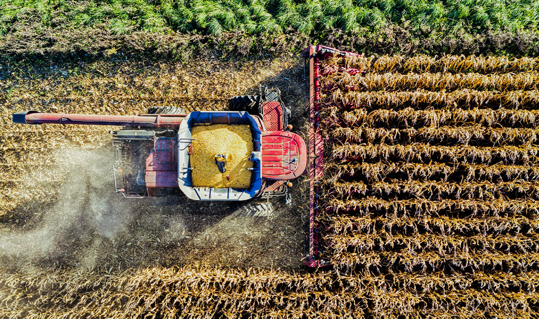 Vendas de máquinas agrícolas sobem 45% em fevereiro