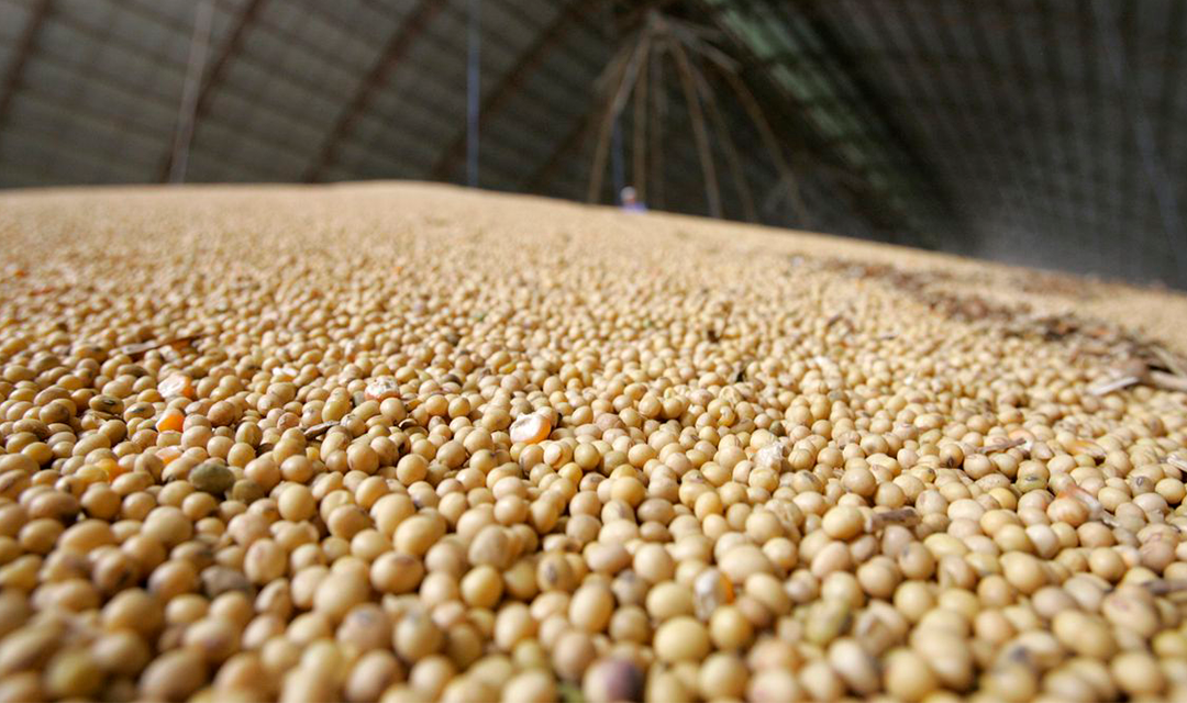 Exportações de soja devem atingir US$ 58 bilhões em 2022