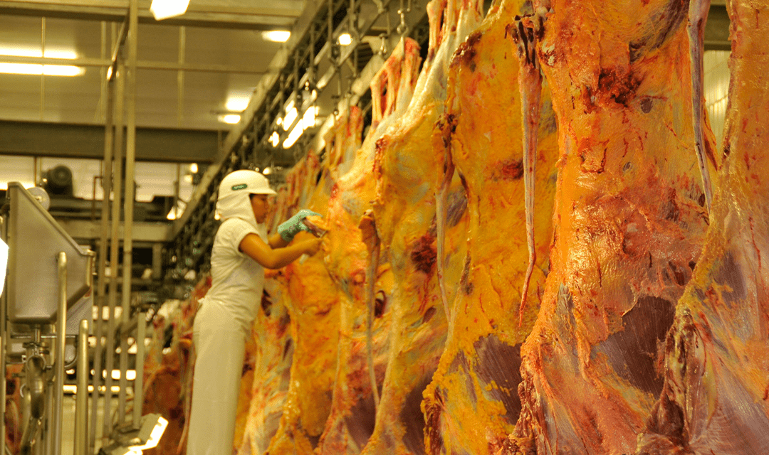 China segue sendo maior destino da carne brasileira