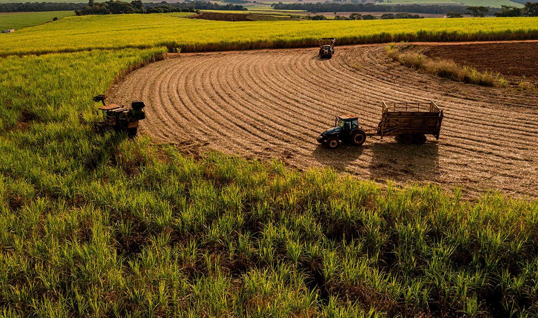 Agronegócio deve ter maior crescimento em 5 anos