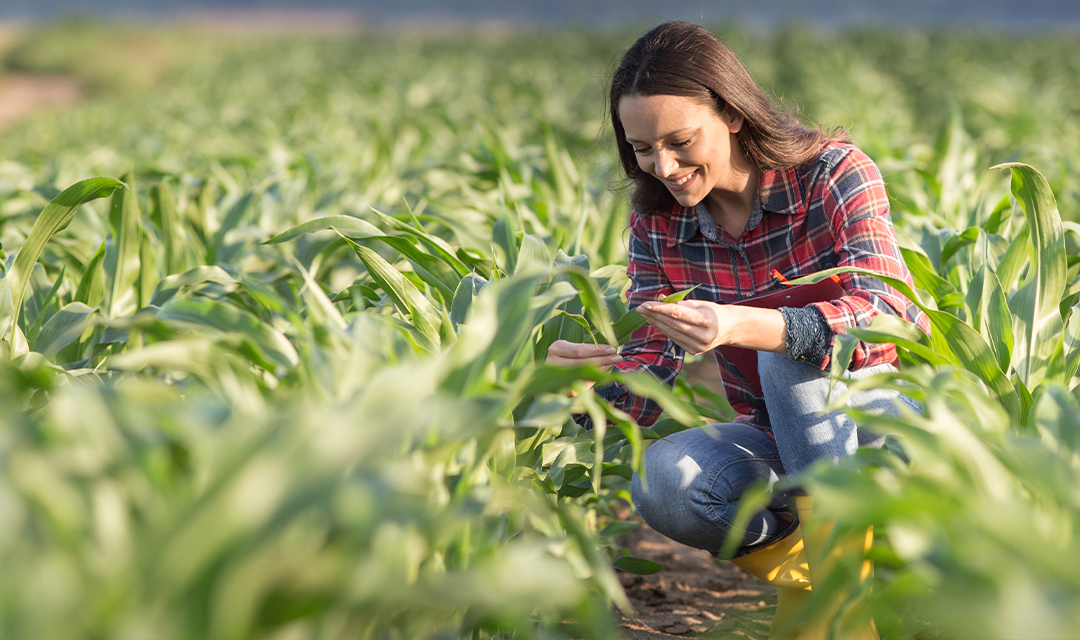 Mapa atualiza condições para inscrição no Cadastro Nacional da Agricultura Familiar