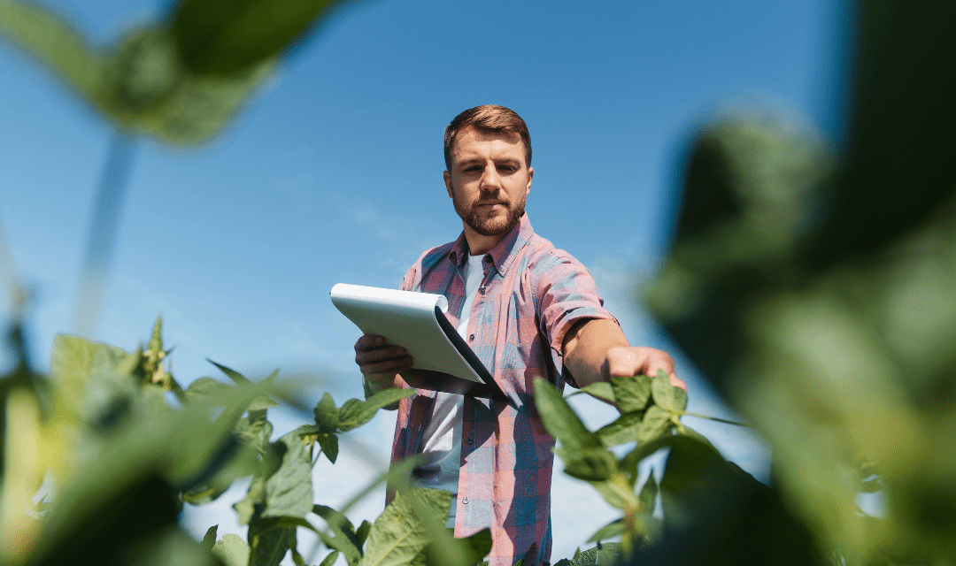 Ferramentas de comunicação para o agronegócio brasileiro