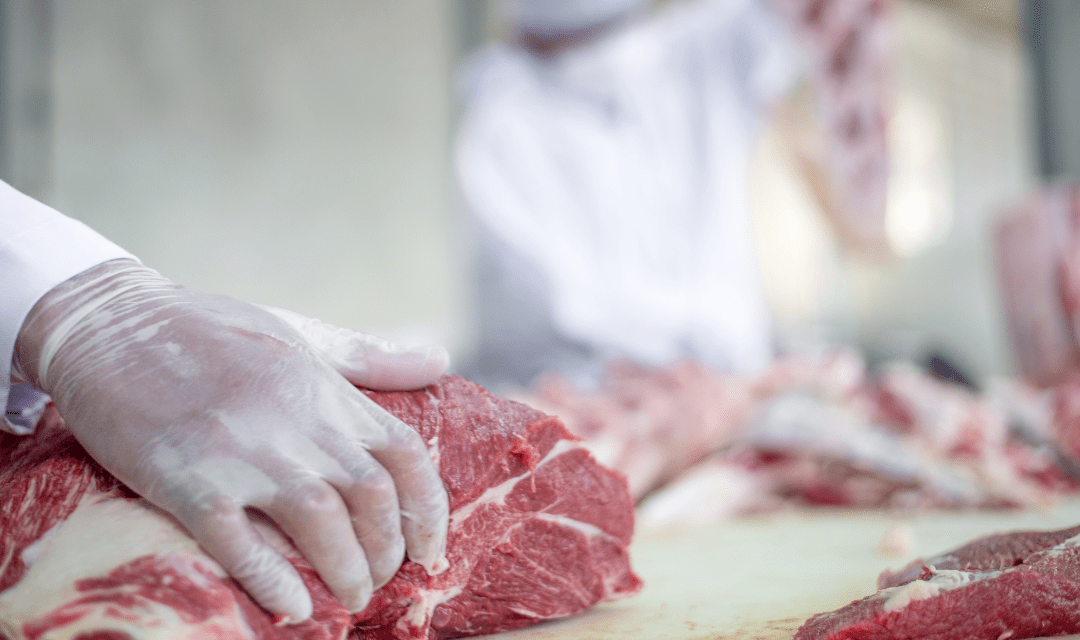 Exportação de carne bovina cresce 26% em 2022, diz Abrafrigo