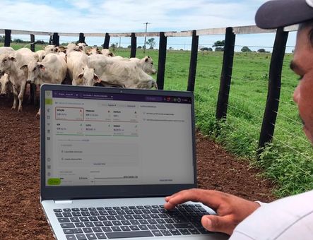 Coopercitrus e BovExo formam aliança digital para gestão sustentável da pecuária