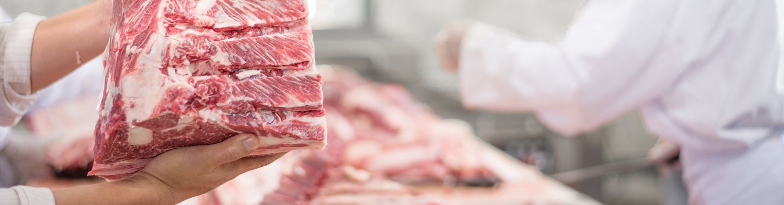 Exportações de carne suína crescem quase 20% em janeiro