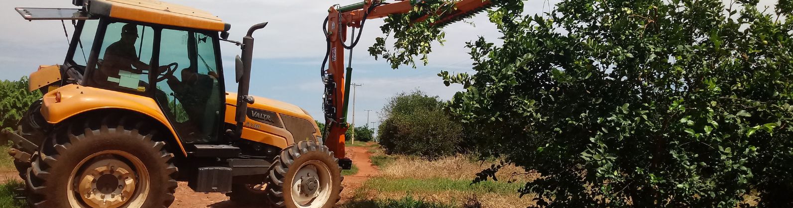 Coperfam e Coopercitrus: união que favorece o comércio justo de laranja e gera oportunidades