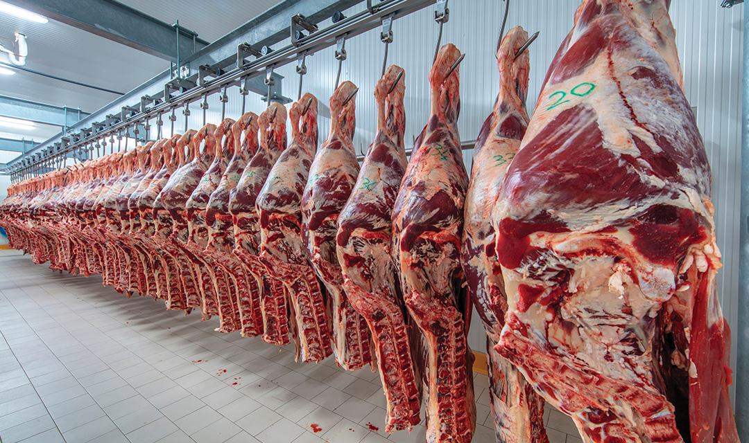 Afinal, as carnes de frango e de suíno estão mais competitivas em relação à carne bovina?